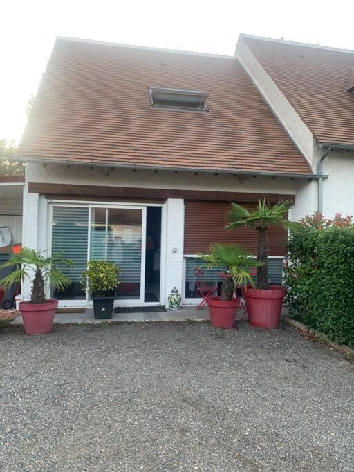 Au Nid Douillet Apartment Donnery Ngoại thất bức ảnh
